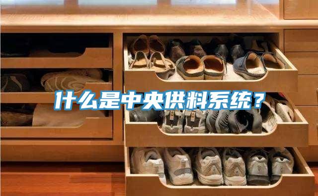 什么是中央供料系統(tǒng)？