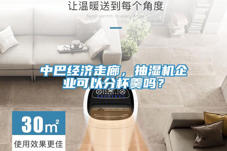 中巴經濟走廊，抽濕機企業(yè)可以分杯羹嗎？