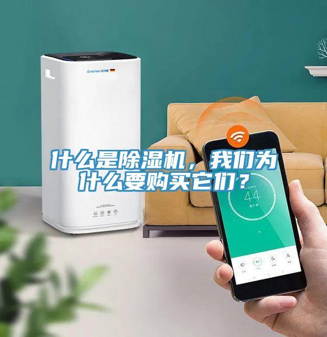 什么是除濕機(jī)，我們?yōu)槭裁匆?gòu)買(mǎi)它們？