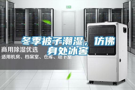 冬季被子潮濕，仿佛身處冰窖