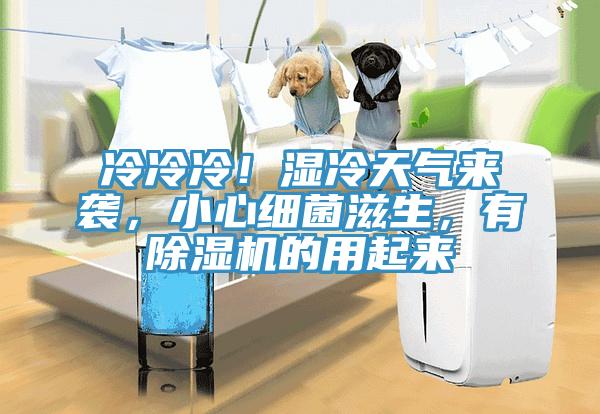 冷冷冷！濕冷天氣來襲，小心細菌滋生，有除濕機的用起來