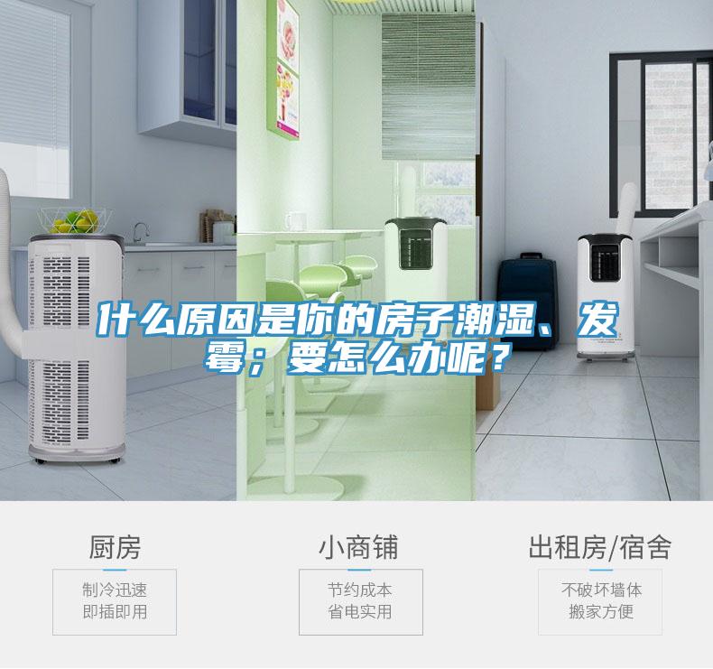 什么原因是你的房子潮濕、發(fā)霉；要怎么辦呢？