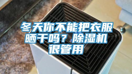 冬天你不能把衣服曬干嗎？除濕機(jī)很管用
