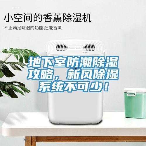 地下室防潮除濕攻略，新風(fēng)除濕系統(tǒng)不可少！