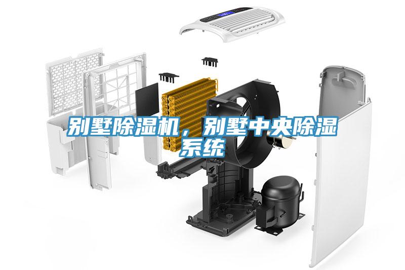 別墅除濕機，別墅中央除濕系統(tǒng)