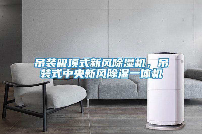 吊裝吸頂式新風(fēng)除濕機(jī)，吊裝式中央新風(fēng)除濕一體機(jī)