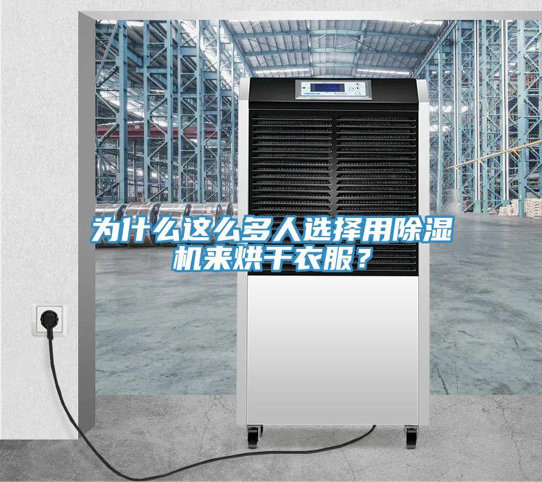 為什么這么多人選擇用除濕機來烘干衣服？
