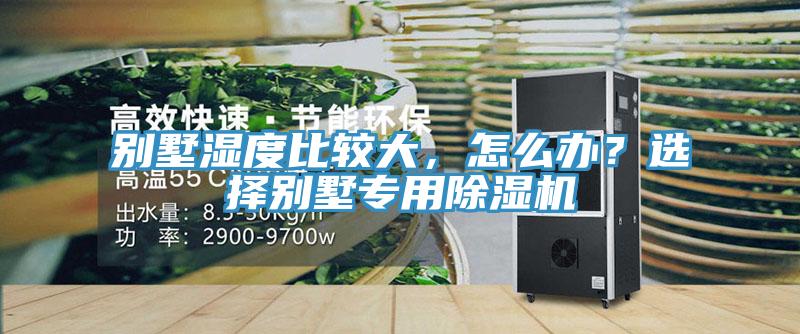 別墅濕度比較大，怎么辦？選擇別墅專用除濕機