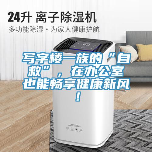 寫字樓一族的“自救”，在辦公室也能暢享健康新風(fēng)！