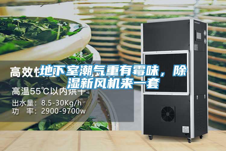 地下室潮氣重有霉味，除濕新風(fēng)機來一套