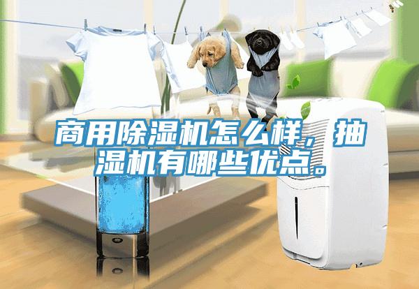 商用除濕機(jī)怎么樣，抽濕機(jī)有哪些優(yōu)點(diǎn)。