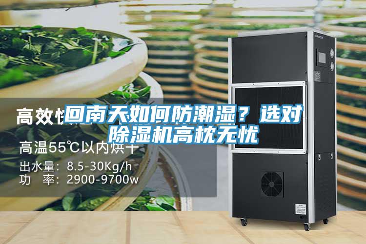 回南天如何防潮濕？選對除濕機高枕無憂