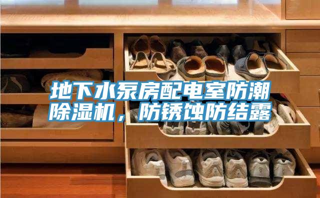 地下水泵房配電室防潮除濕機(jī)，防銹蝕防結(jié)露