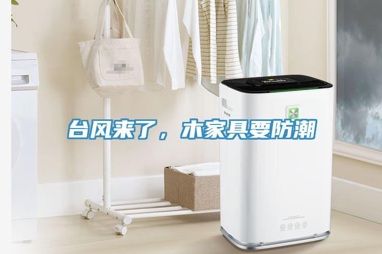臺(tái)風(fēng)來了，木家具要防潮