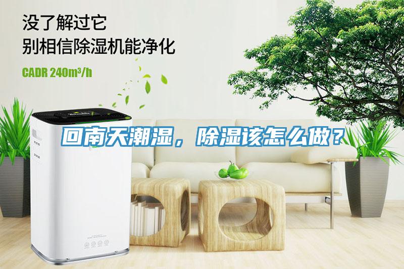 回南天潮濕，除濕該怎么做？