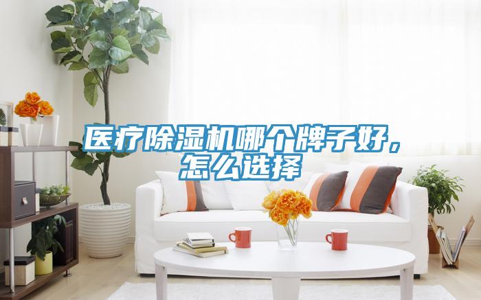 醫(yī)療除濕機(jī)哪個(gè)牌子好，怎么選擇