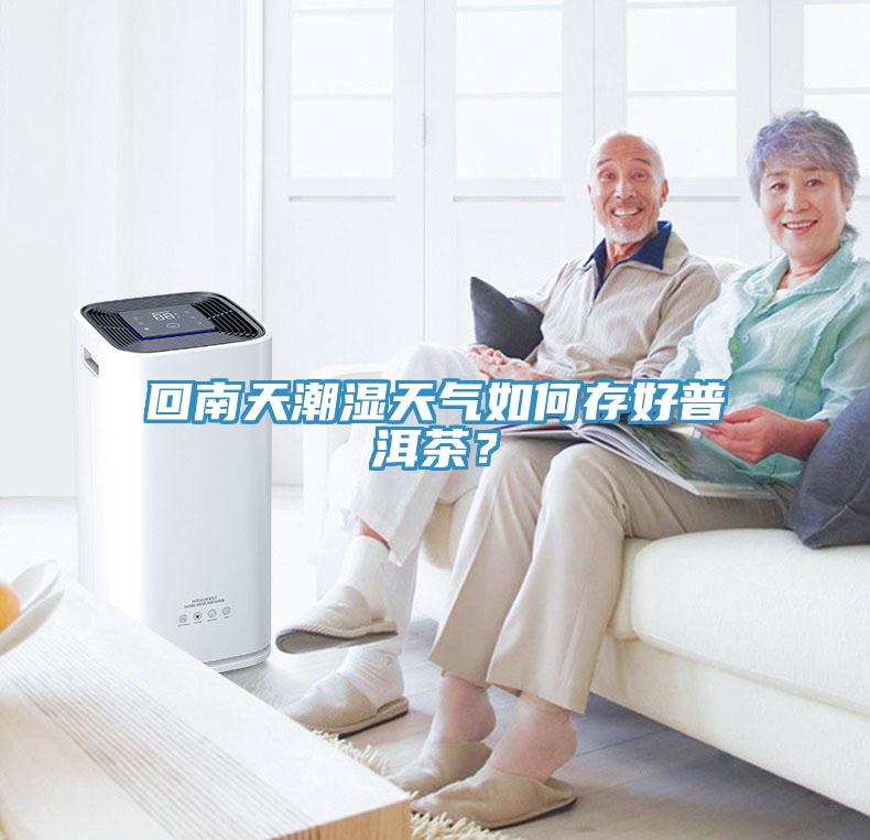 回南天潮濕天氣如何存好普洱茶？