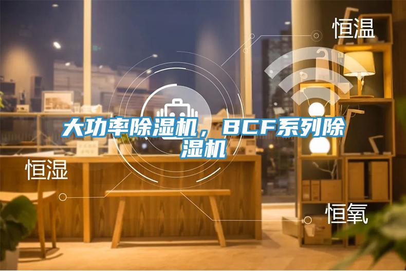 大功率除濕機，BCF系列除濕機