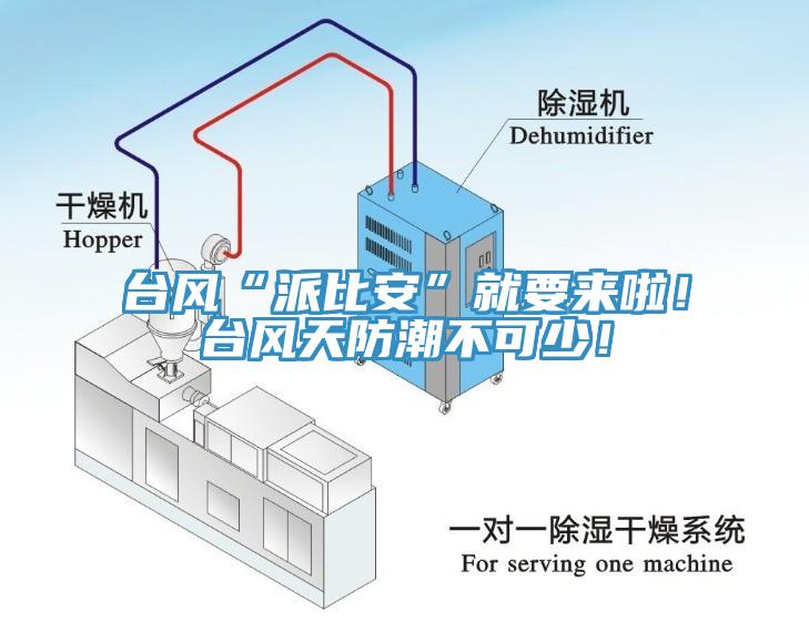 臺風(fēng)“派比安”就要來啦！臺風(fēng)天防潮不可少！