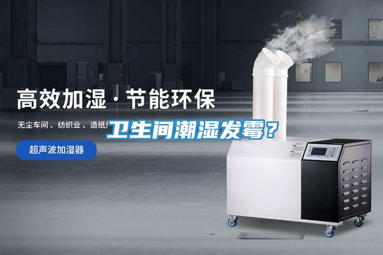 衛(wèi)生間潮濕發(fā)霉？
