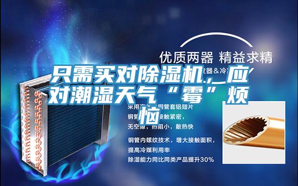 只需買對除濕機，應(yīng)對潮濕天氣“霉”煩惱
