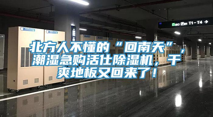 北方人不懂的“回南天”，潮濕急購活仕除濕機，干爽地板又回來了！