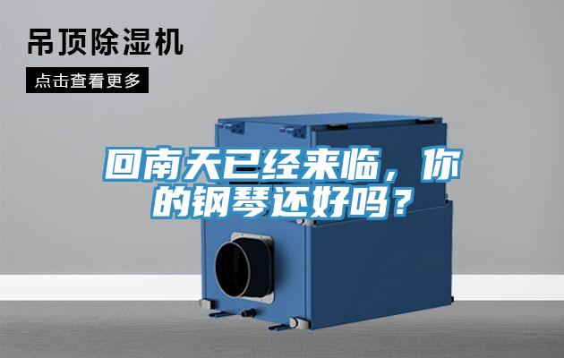 回南天已經(jīng)來臨，你的鋼琴還好嗎？