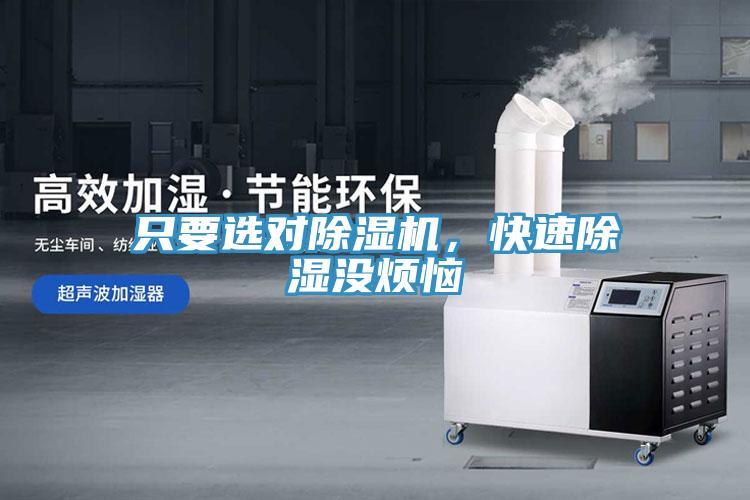 只要選對除濕機，快速除濕沒煩惱