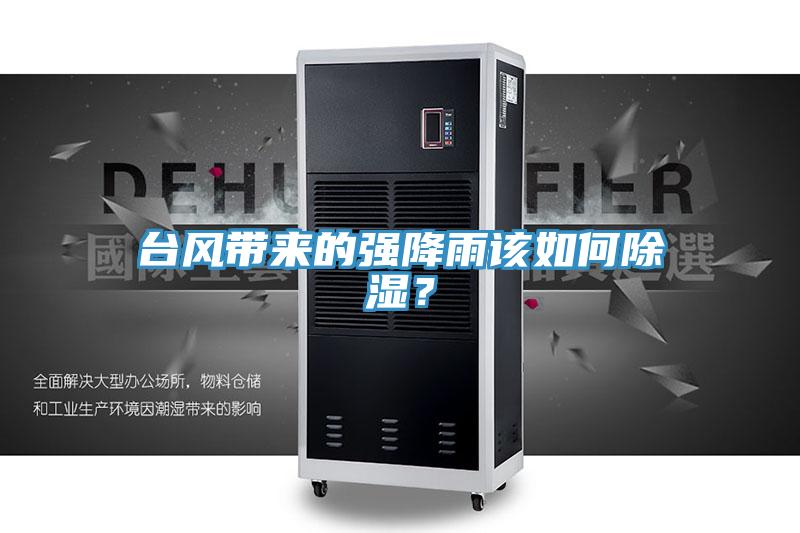 臺風帶來的強降雨該如何除濕？