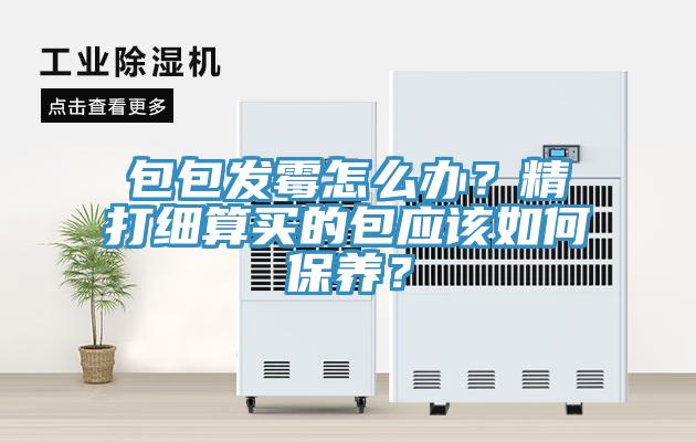 包包發(fā)霉怎么辦？精打細(xì)算買的包應(yīng)該如何保養(yǎng)？