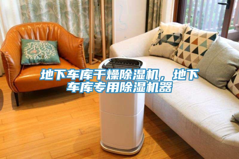 地下車(chē)庫(kù)干燥除濕機(jī)，地下車(chē)庫(kù)專(zhuān)用除濕機(jī)器