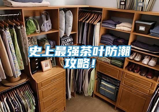 史上最強(qiáng)茶葉防潮攻略！