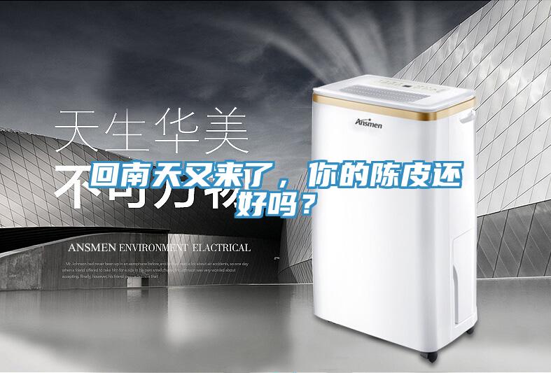 回南天又來了，你的陳皮還好嗎？