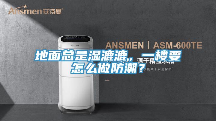 地面總是濕漉漉，一樓要怎么做防潮？