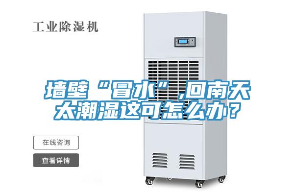 墻壁“冒水”,回南天太潮濕這可怎么辦？