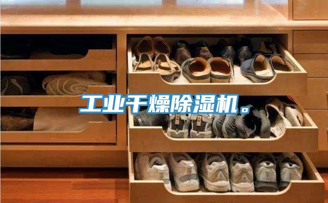 工業(yè)干燥除濕機(jī)。