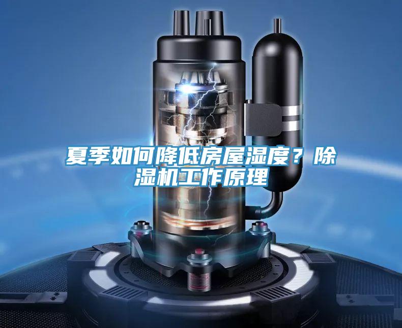 夏季如何降低房屋濕度？除濕機工作原理
