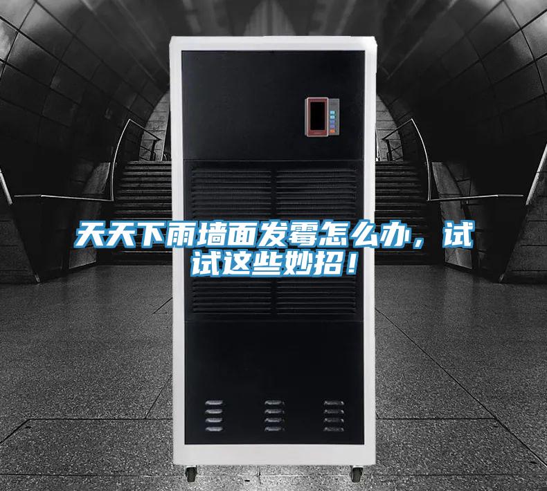 天天下雨墻面發(fā)霉怎么辦，試試這些妙招！