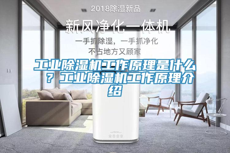 工業(yè)除濕機工作原理是什么 ？工業(yè)除濕機工作原理介紹