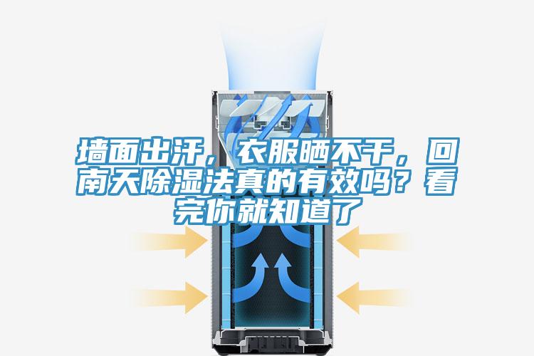 墻面出汗，衣服曬不干，回南天除濕法真的有效嗎？看完你就知道了