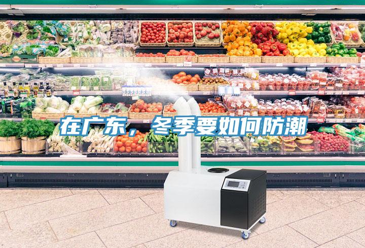 在廣東，冬季要如何防潮