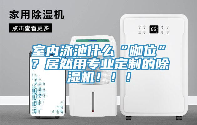 室內(nèi)泳池什么“咖位”？居然用專業(yè)定制的除濕機?。?！