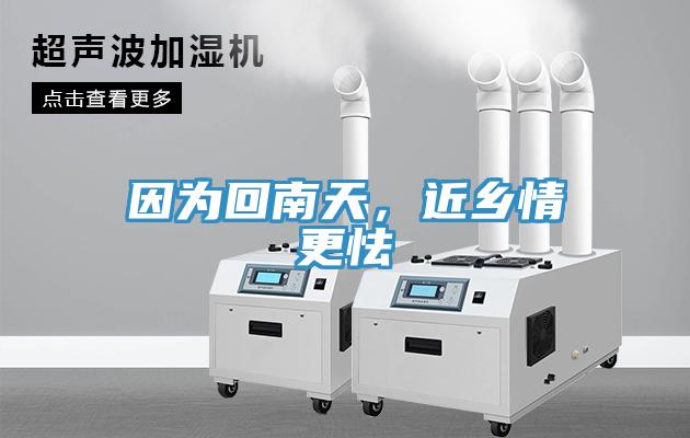 因為回南天，近鄉(xiāng)情更怯