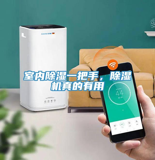 室內(nèi)除濕一把手，除濕機真的有用