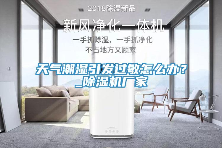 天氣潮濕引發(fā)過敏怎么辦？_除濕機廠家
