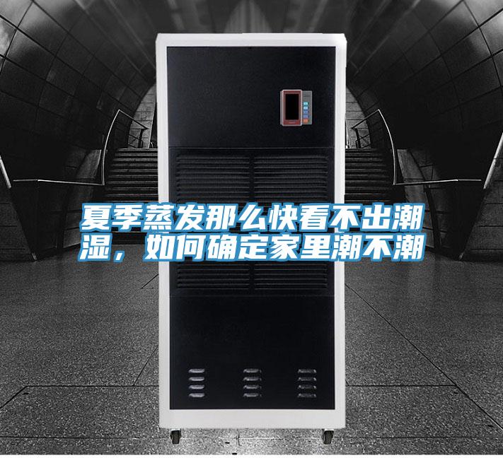 夏季蒸發(fā)那么快看不出潮濕，如何確定家里潮不潮