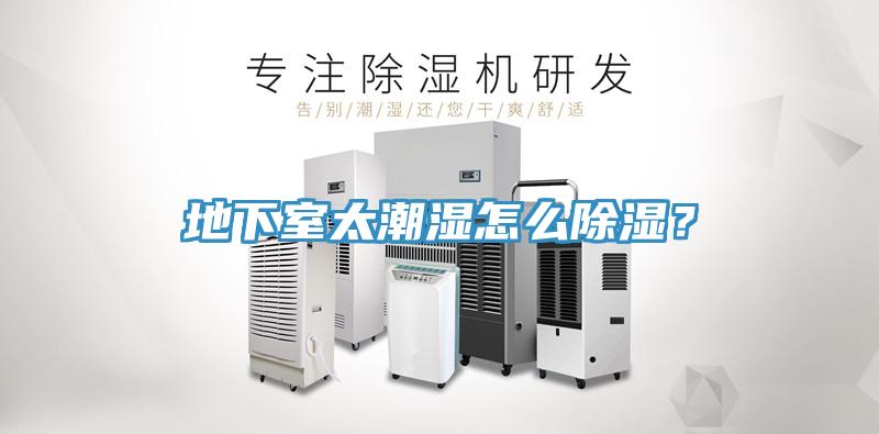 地下室太潮濕怎么除濕？