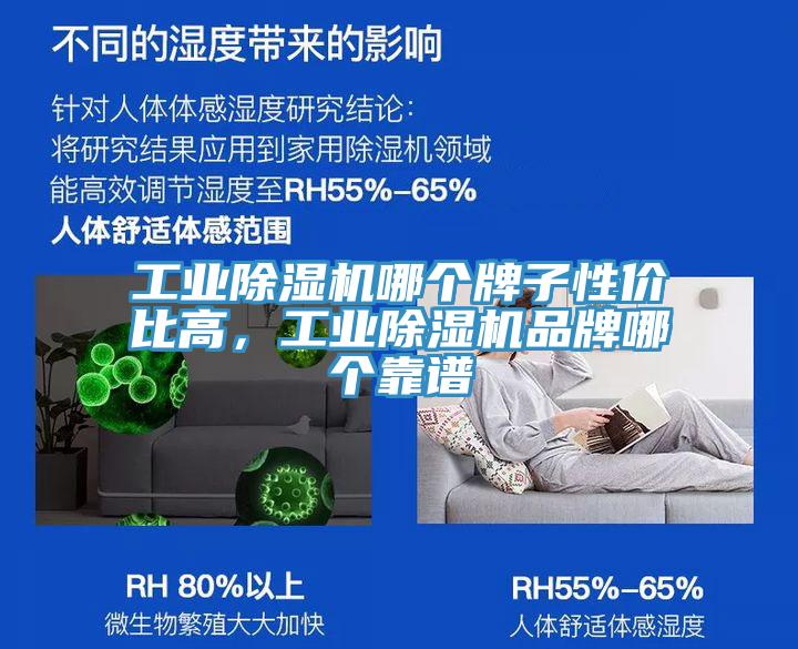 工業(yè)除濕機(jī)哪個(gè)牌子性價(jià)比高，工業(yè)除濕機(jī)品牌哪個(gè)靠譜