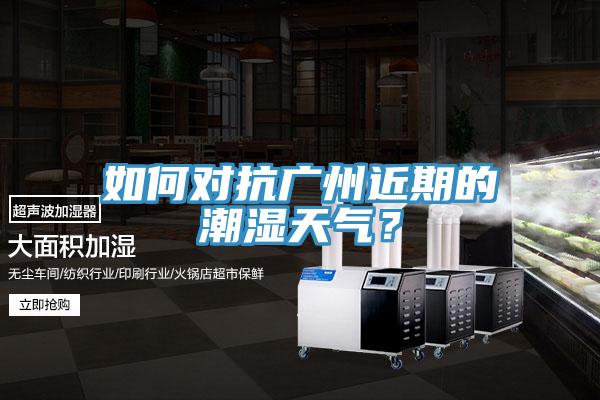 如何對抗廣州近期的潮濕天氣？