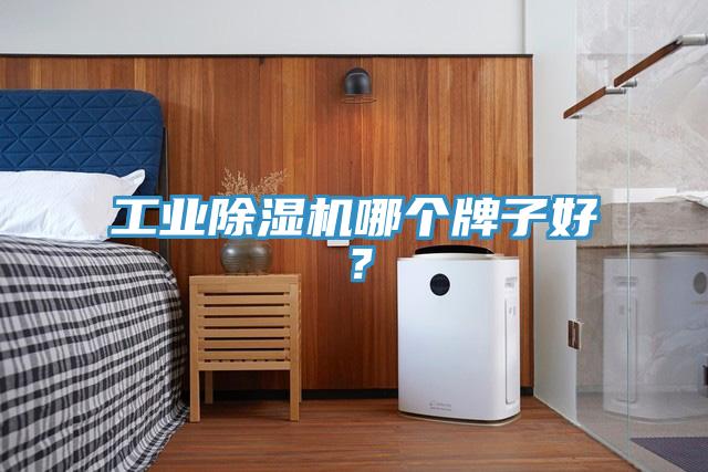 工業(yè)除濕機(jī)哪個牌子好？